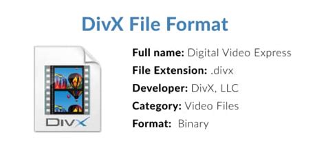 what does .divx stand for|DIVX File .